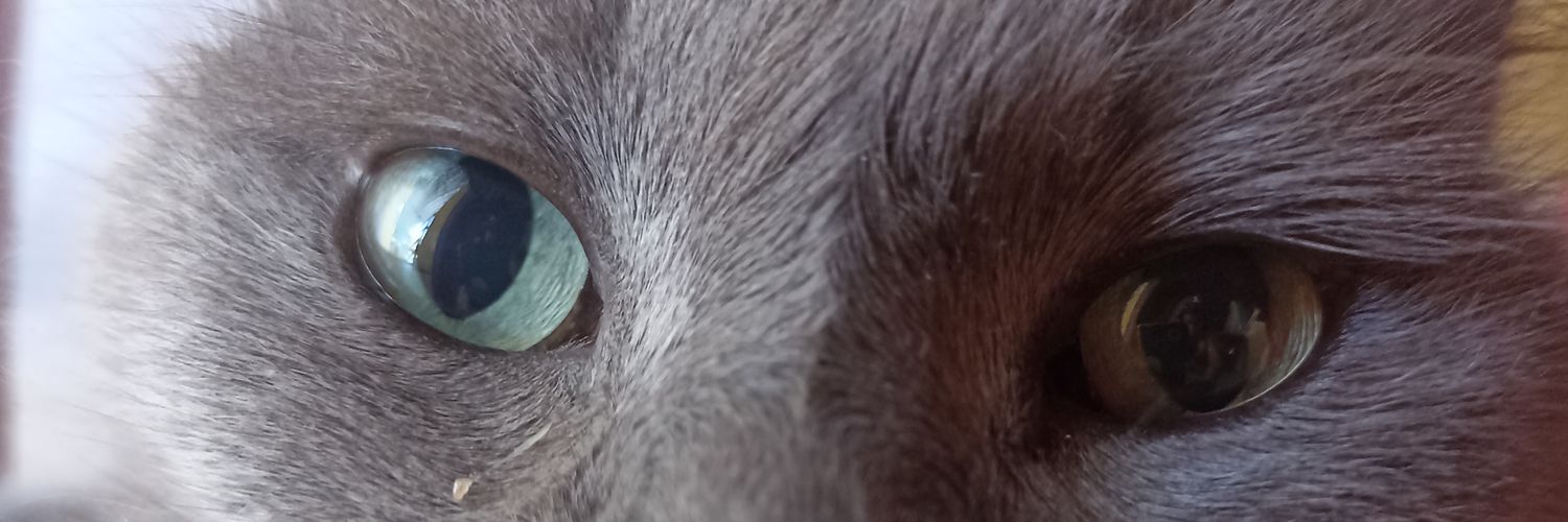_eu_aline55's profile banner image