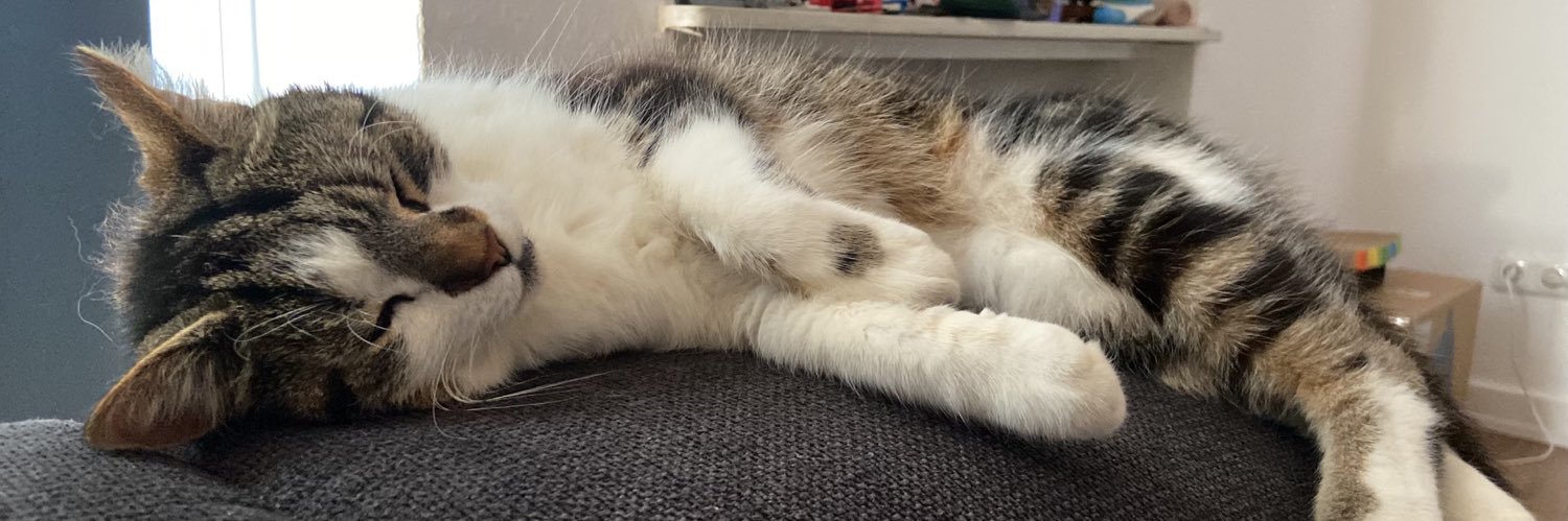 the notorious nicla🇮🇪 banner