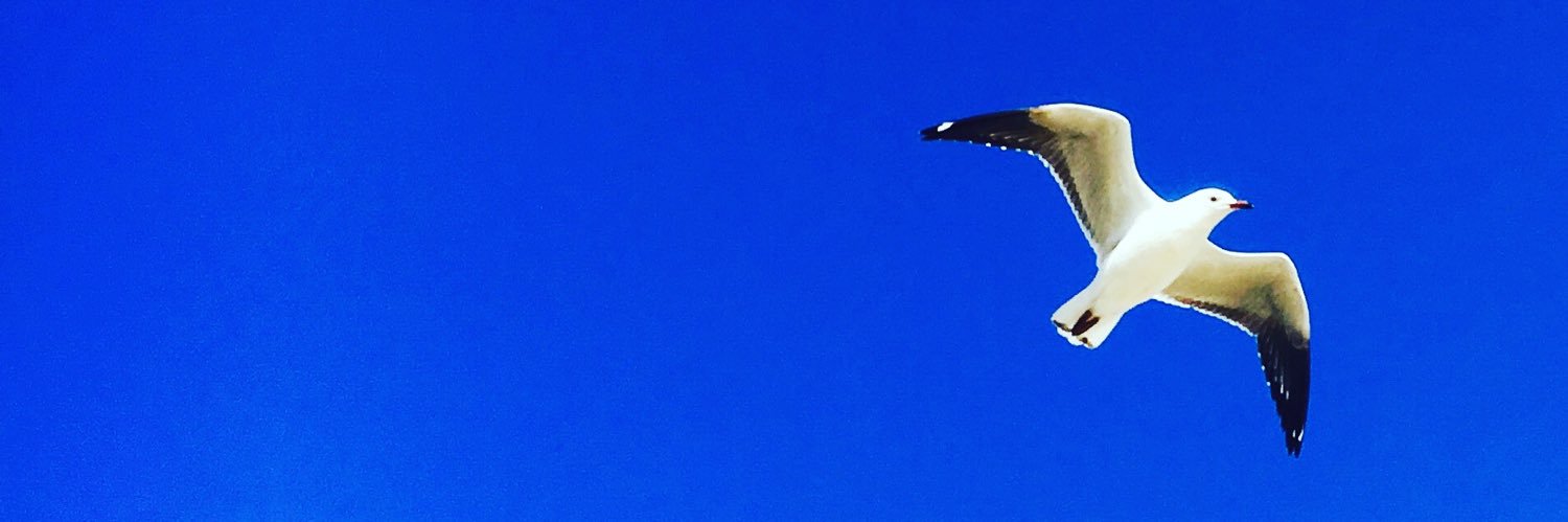 thewilsonwarble's profile banner image
