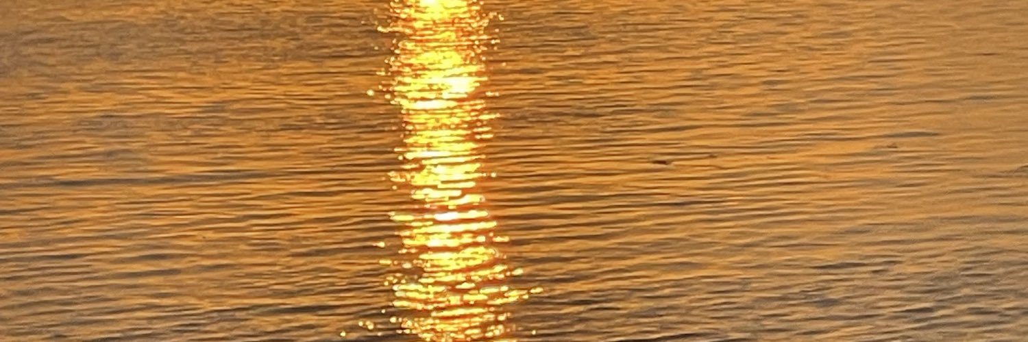 ssa_had's profile banner image