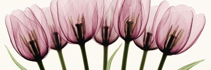 Inpink143's profile banner image