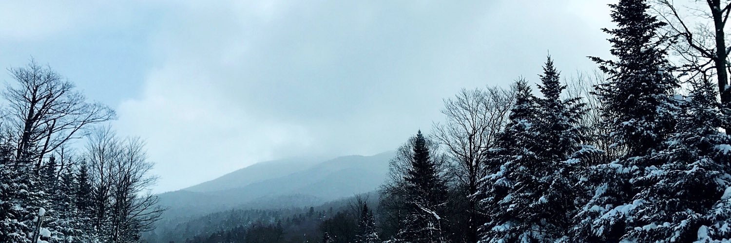 sarahpratt's profile banner image