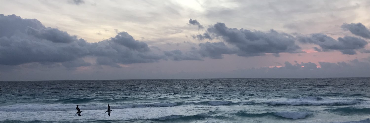 Alan Stewart 🇨🇦 banner