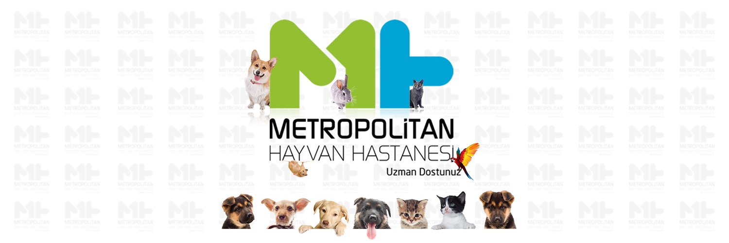 metropolitanhh's profile banner image