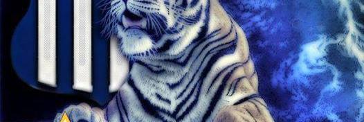 maxi mattar banner