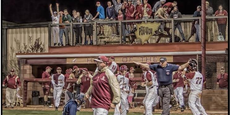 David Limbaugh banner