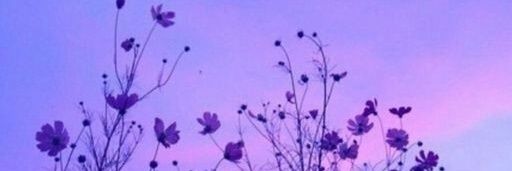 myraresg's profile banner image