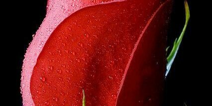 amalhussein48's profile banner image