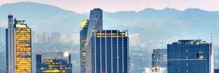Anumex banner