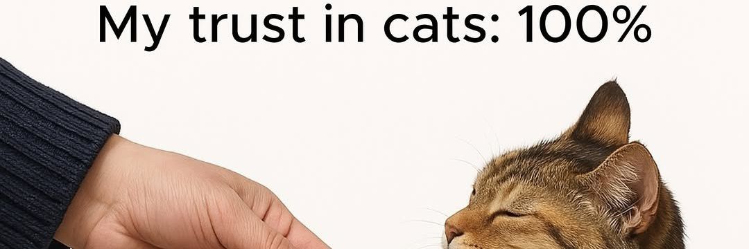 adam_ banner