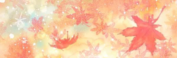 Sei_tk_'s profile banner image