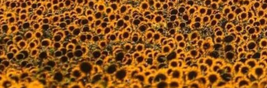 Angieugzz's profile banner image