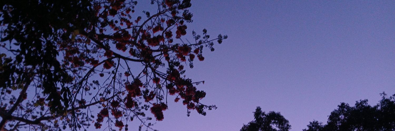 𝚂𝚕𝚎𝚗𝚍𝚢 🇨🇺 banner