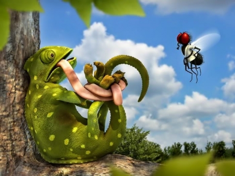 BkwrySary's profile banner image