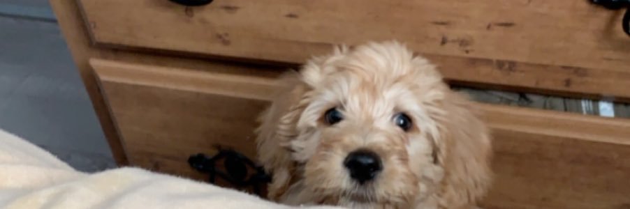 jshaz14's profile banner image
