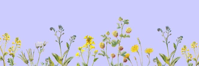 hercoolshit banner