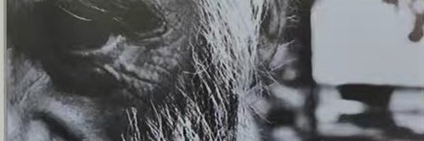 CryptoC40136345 Profile Banner