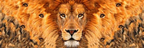 Leo_Knight_Us Profile Banner