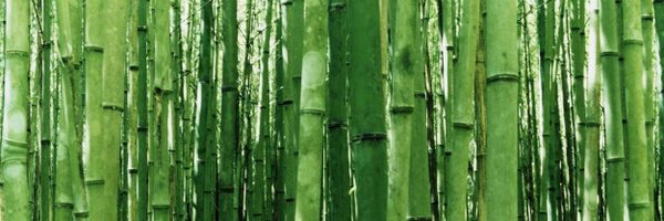 RustyThePanda Profile Banner