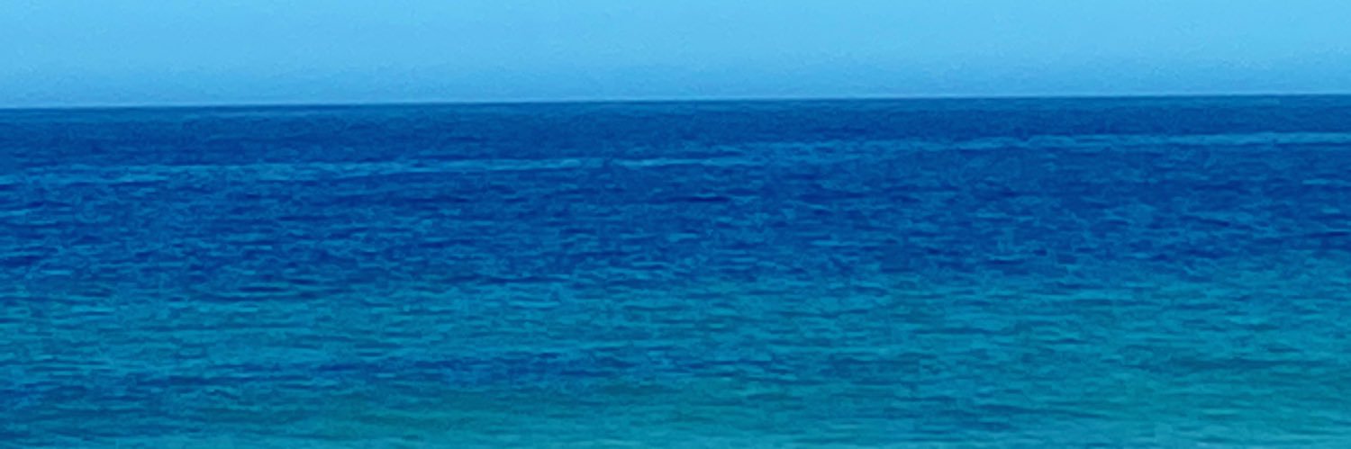 suuuzzzzi's profile banner image