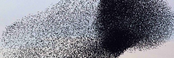 bud_caddell Profile Banner