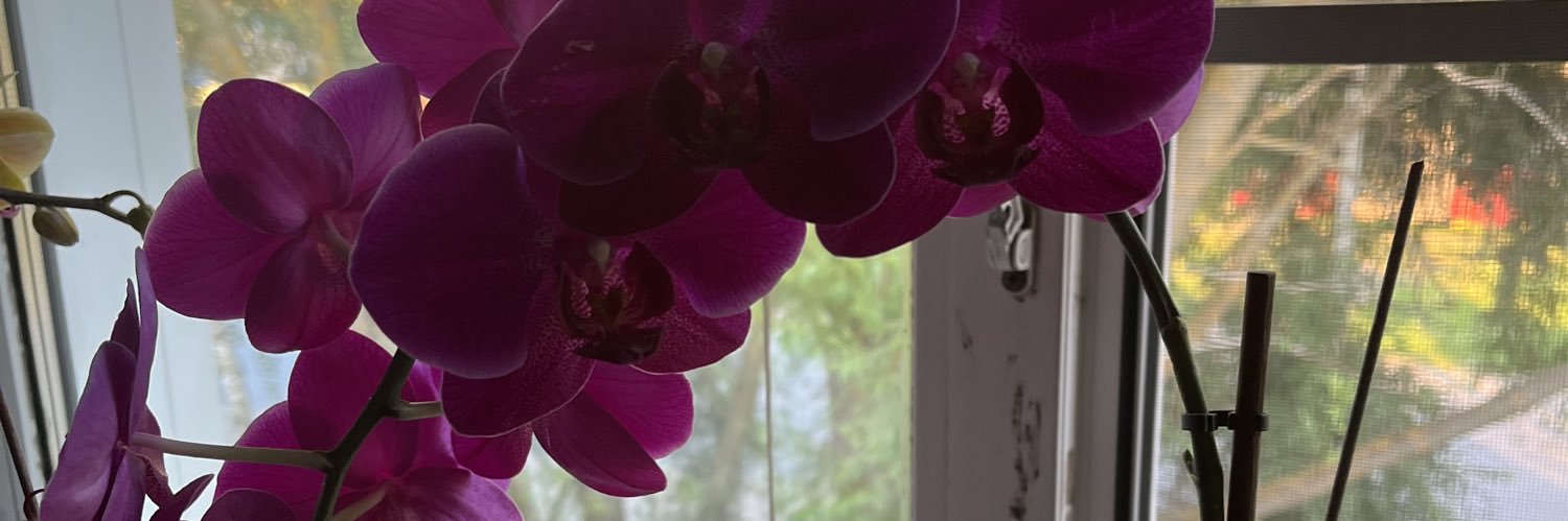 Слава Ривз banner