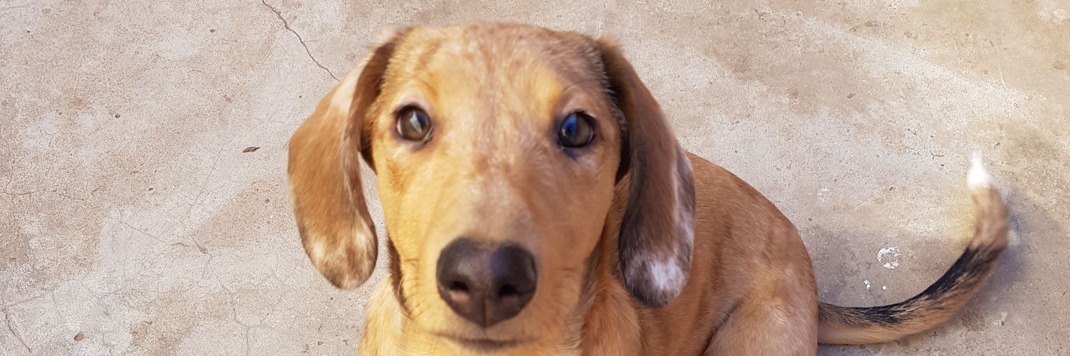 CBorthiry's profile banner image