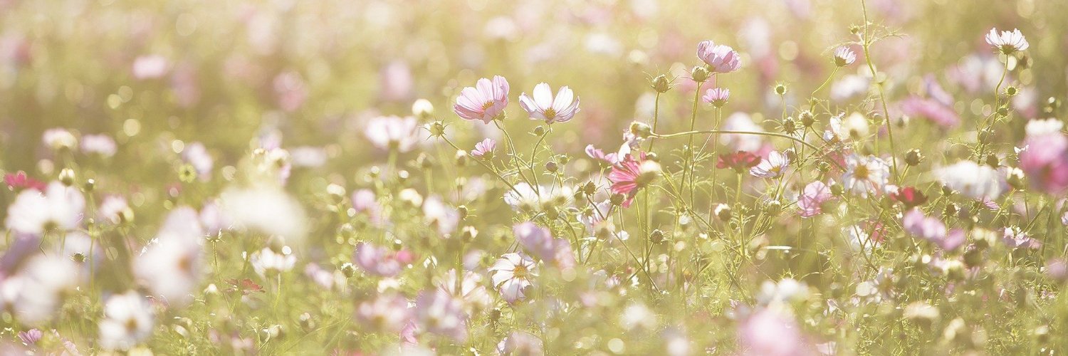 Coma91447015's profile banner image