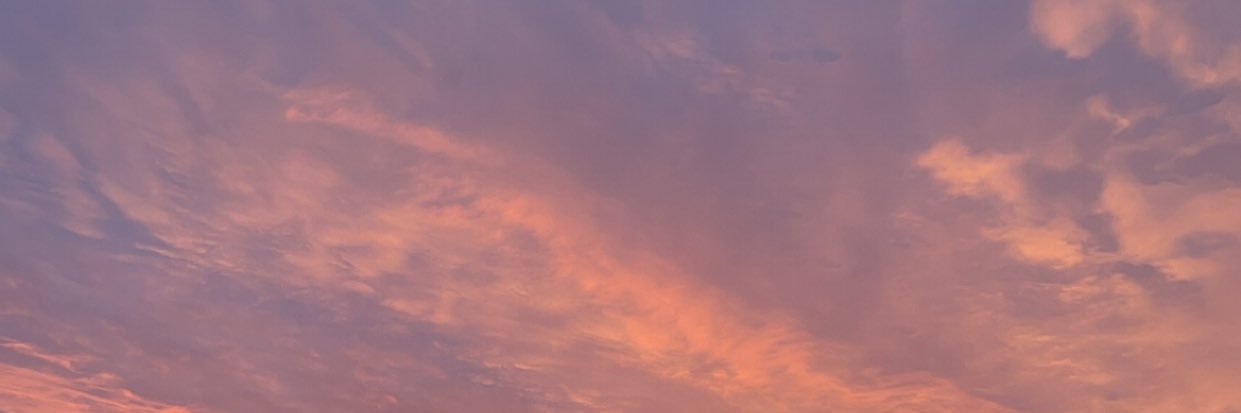 leuhasr's profile banner image