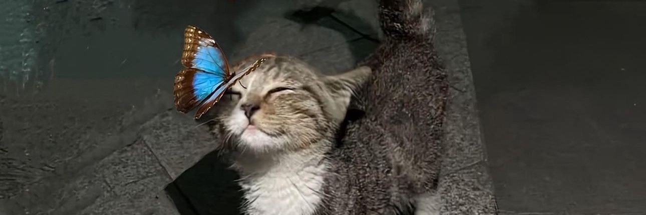 joki tugas & cek turnitin n ai banner