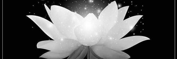 Tannnnnnn2022 Profile Banner