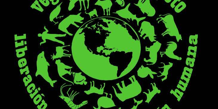 colectivoCLAMA's profile banner image