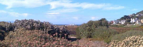 SimonsTownCF Profile Banner