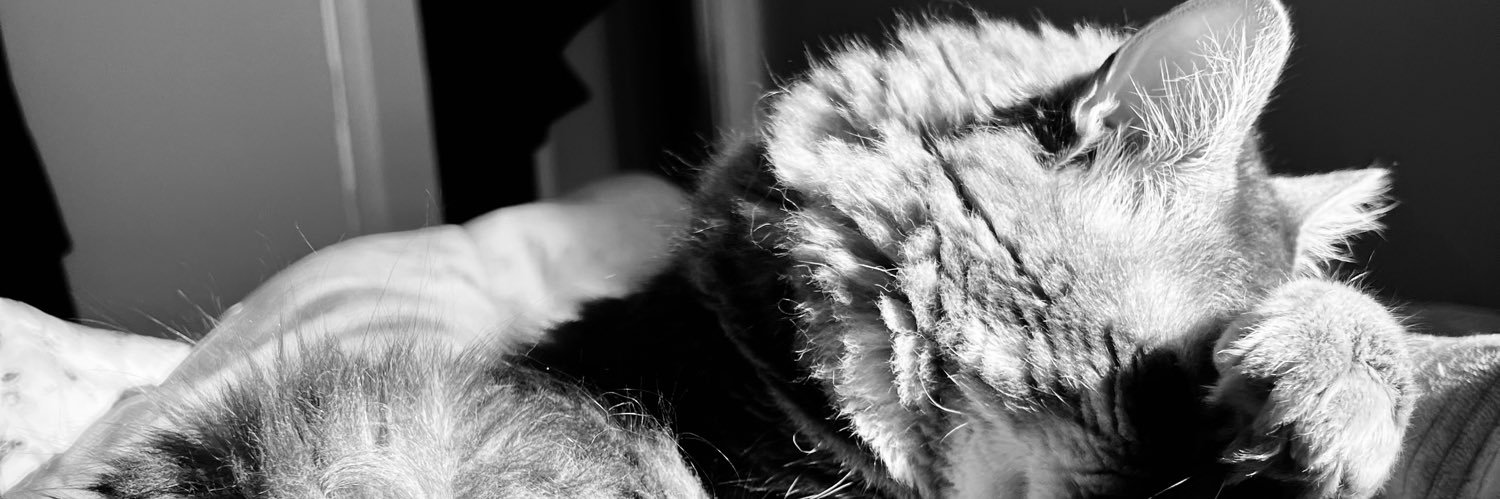 IKoutalas's profile banner image