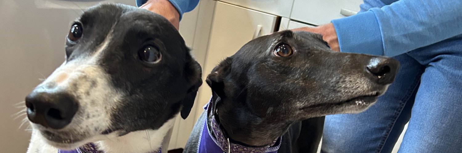 Fire’s Brigade banner