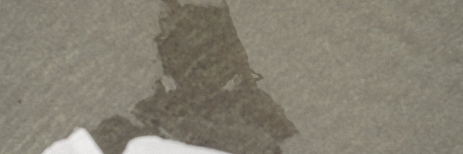 suusono2's profile banner image