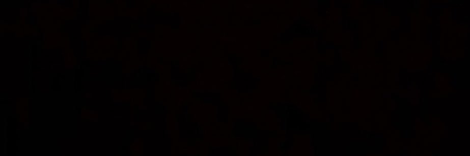 🏴‍☠️🇹🇷 banner