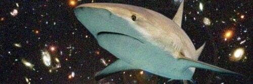 KarlCloutsky's profile banner image