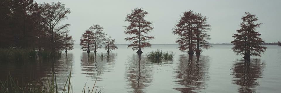 CaseyOfKansas's profile banner image
