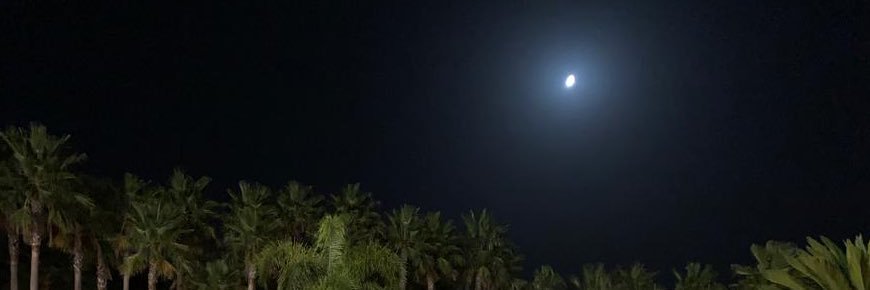 rwwbl_'s profile banner image