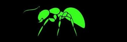 blayzer010's profile banner image