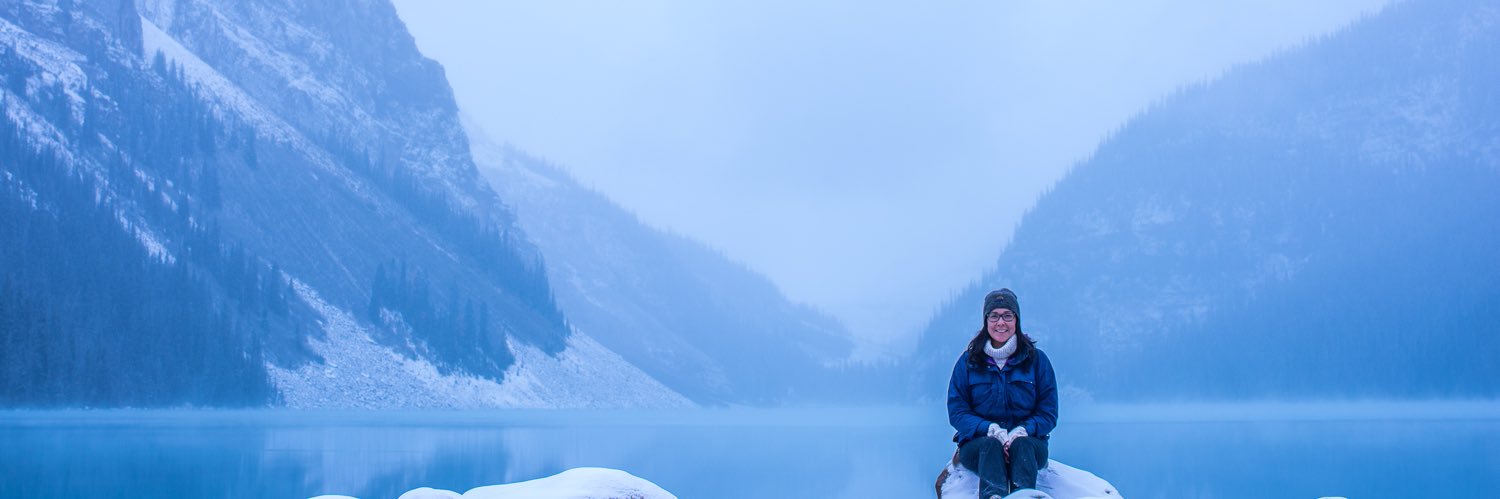 Willow Fiddler banner