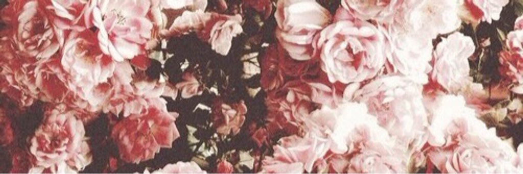 jasmiinesabrina's profile banner image