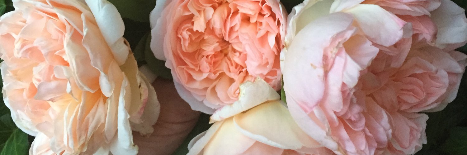 joniboloney's profile banner image