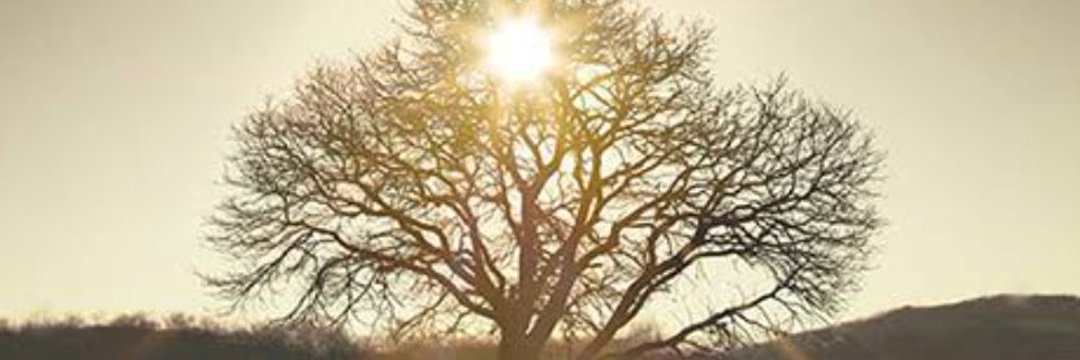 05ray_of_light's profile banner image