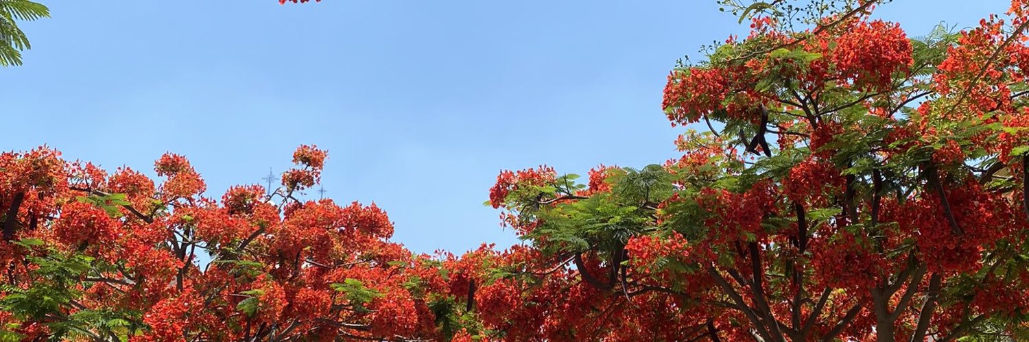 Rami_Ernes's profile banner image