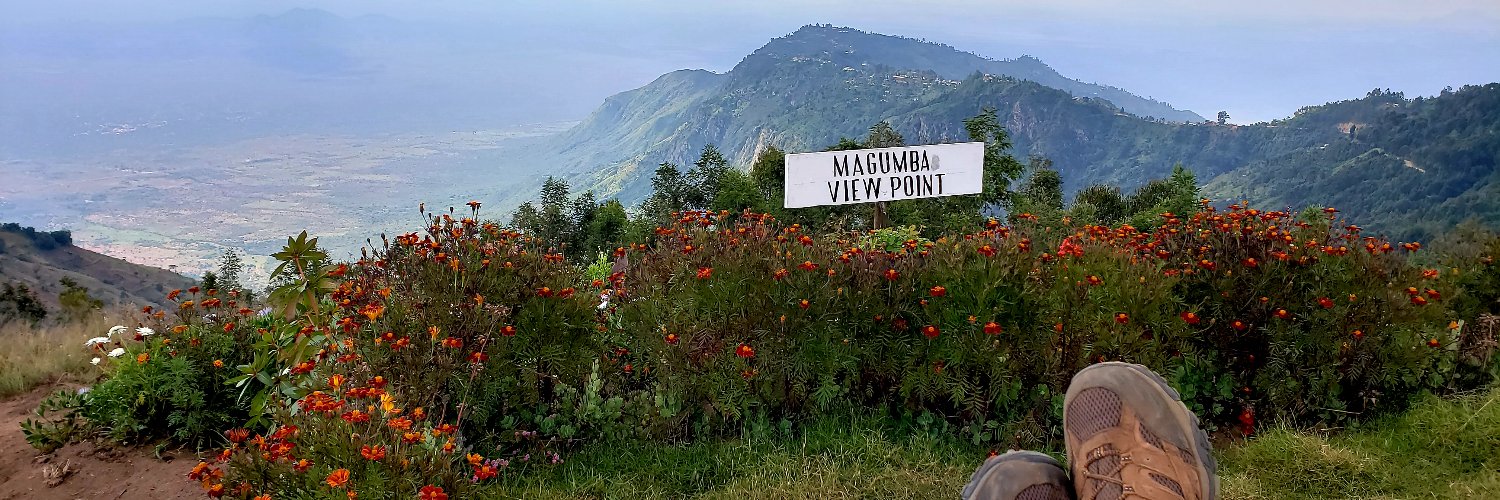 Steve Chisnell banner