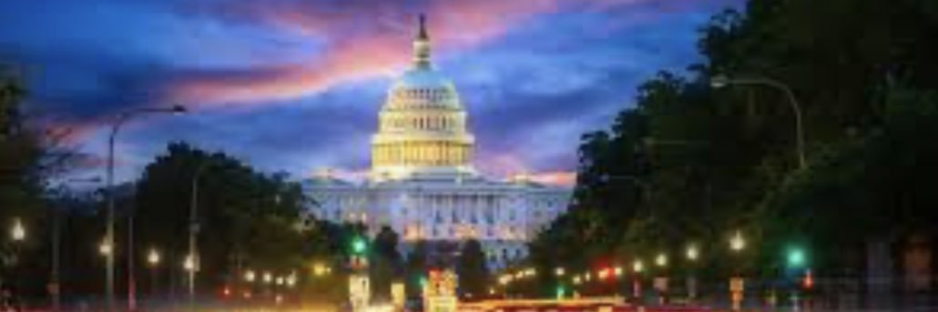 LMAOpolitics's profile banner image