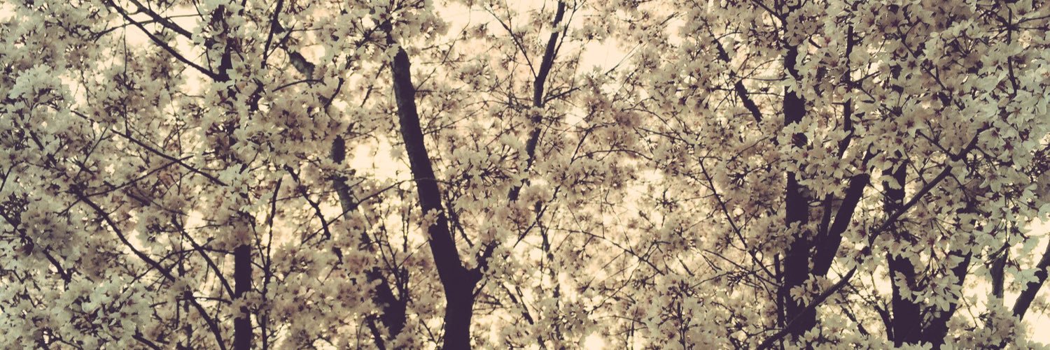 蠣崎未来 banner