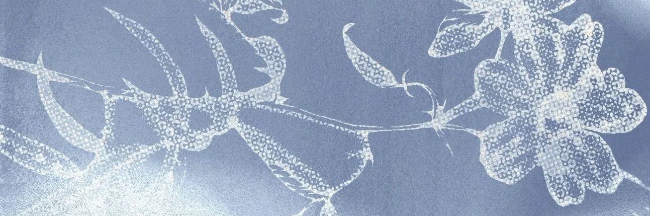AMPLUVR's profile banner image
